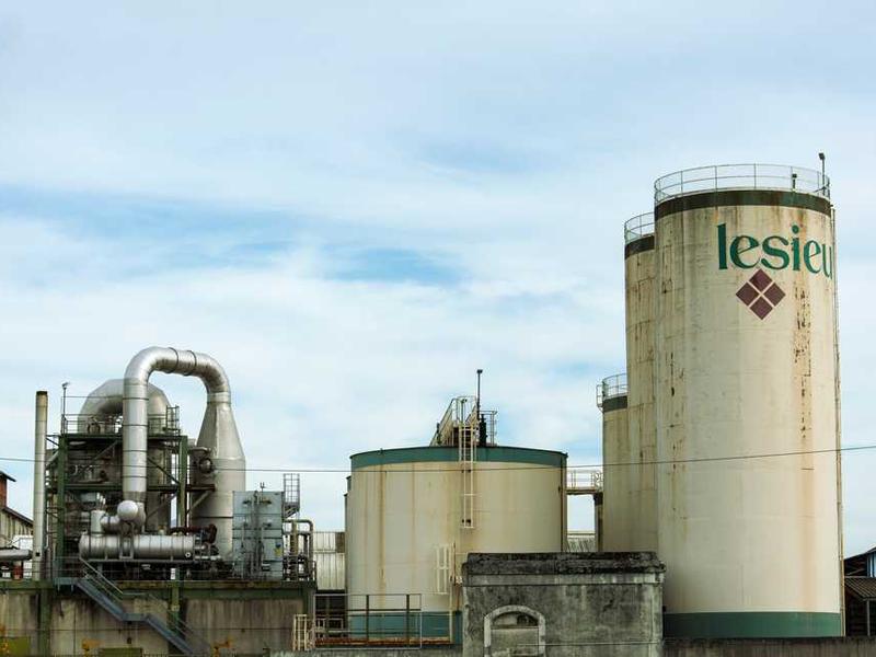 Humanities & Cultural Studies